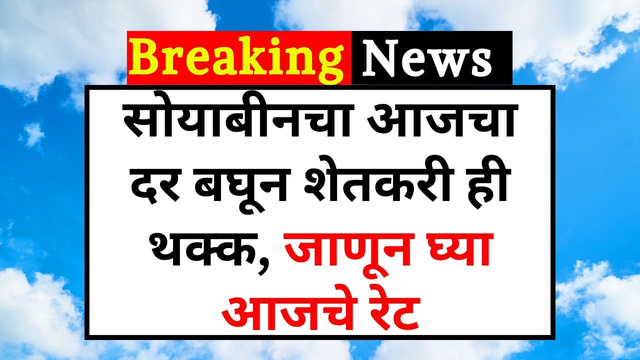 Today Soyabean Price